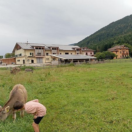 Maso Torbiera- Rural And Mountain Lodging Fiavè 外观 照片