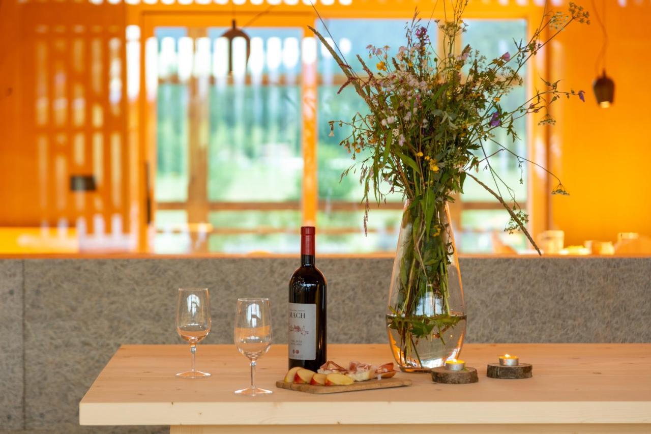 Maso Torbiera- Rural And Mountain Lodging Fiavè 外观 照片