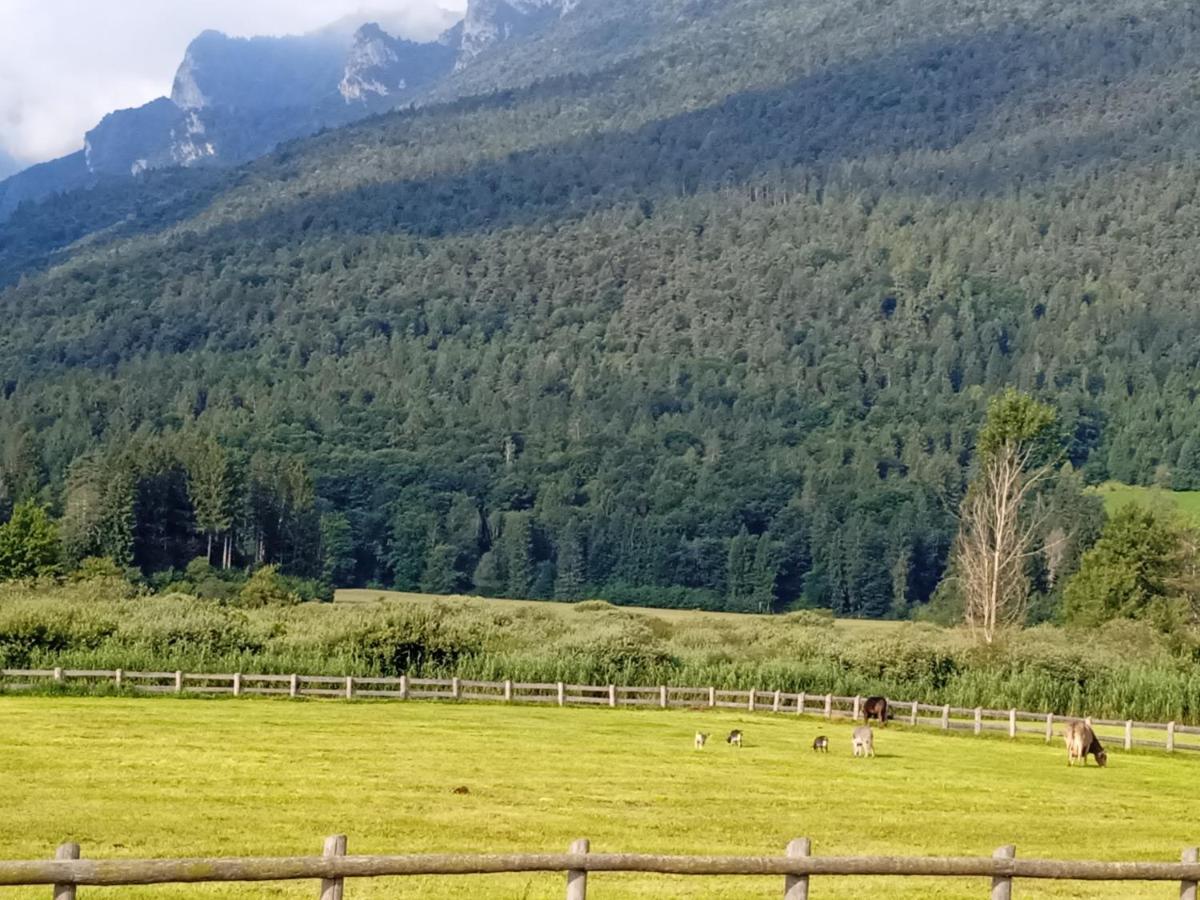 Maso Torbiera- Rural And Mountain Lodging Fiavè 外观 照片