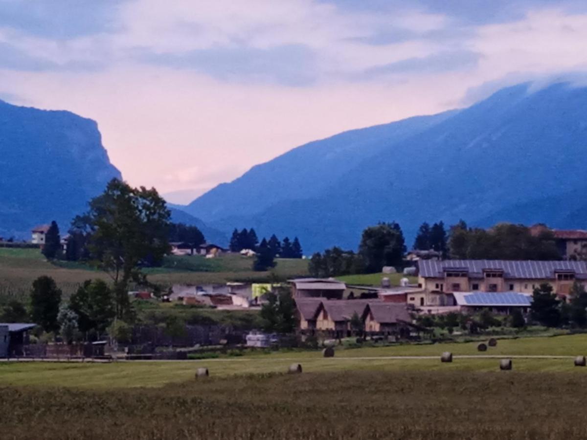 Maso Torbiera- Rural And Mountain Lodging Fiavè 外观 照片