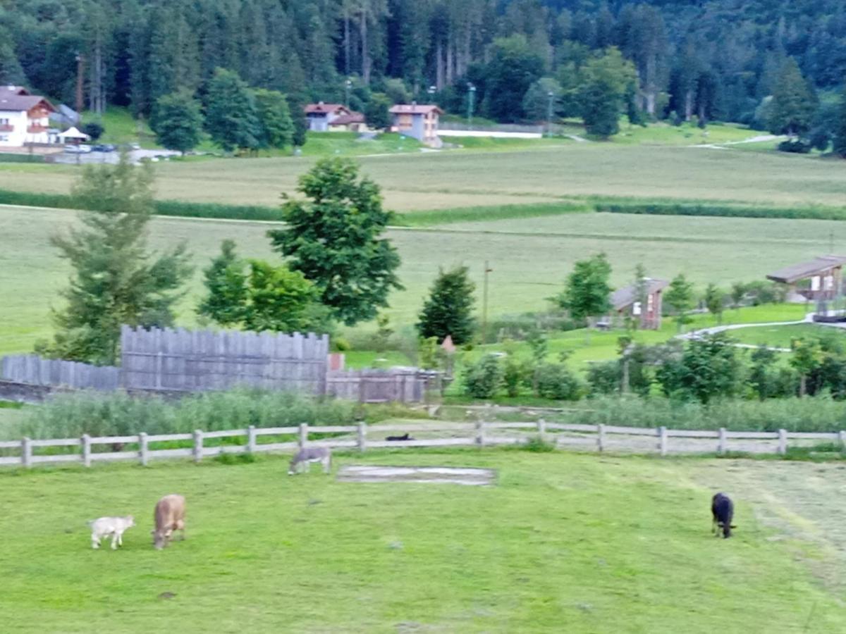 Maso Torbiera- Rural And Mountain Lodging Fiavè 外观 照片