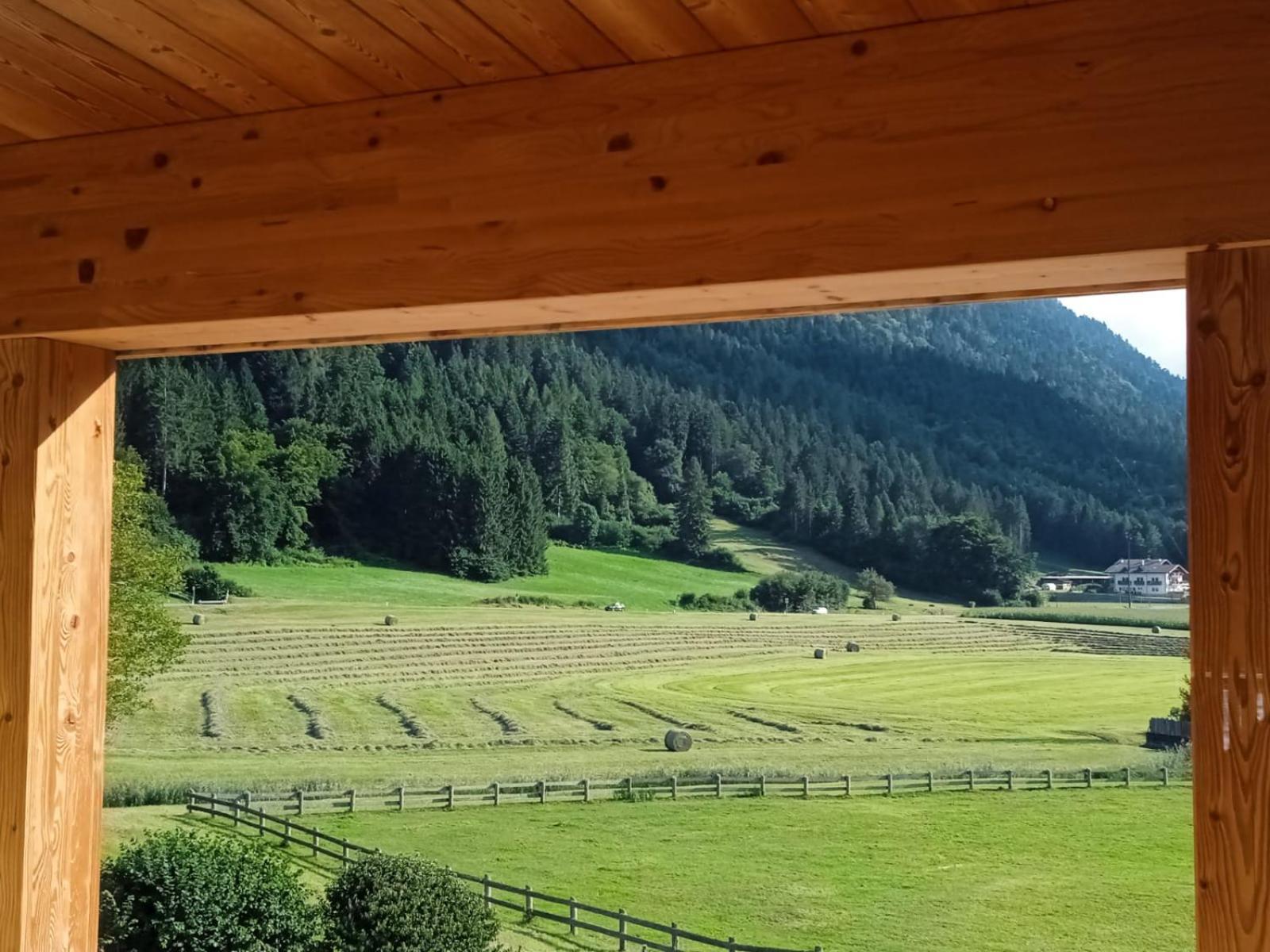 Maso Torbiera- Rural And Mountain Lodging Fiavè 外观 照片