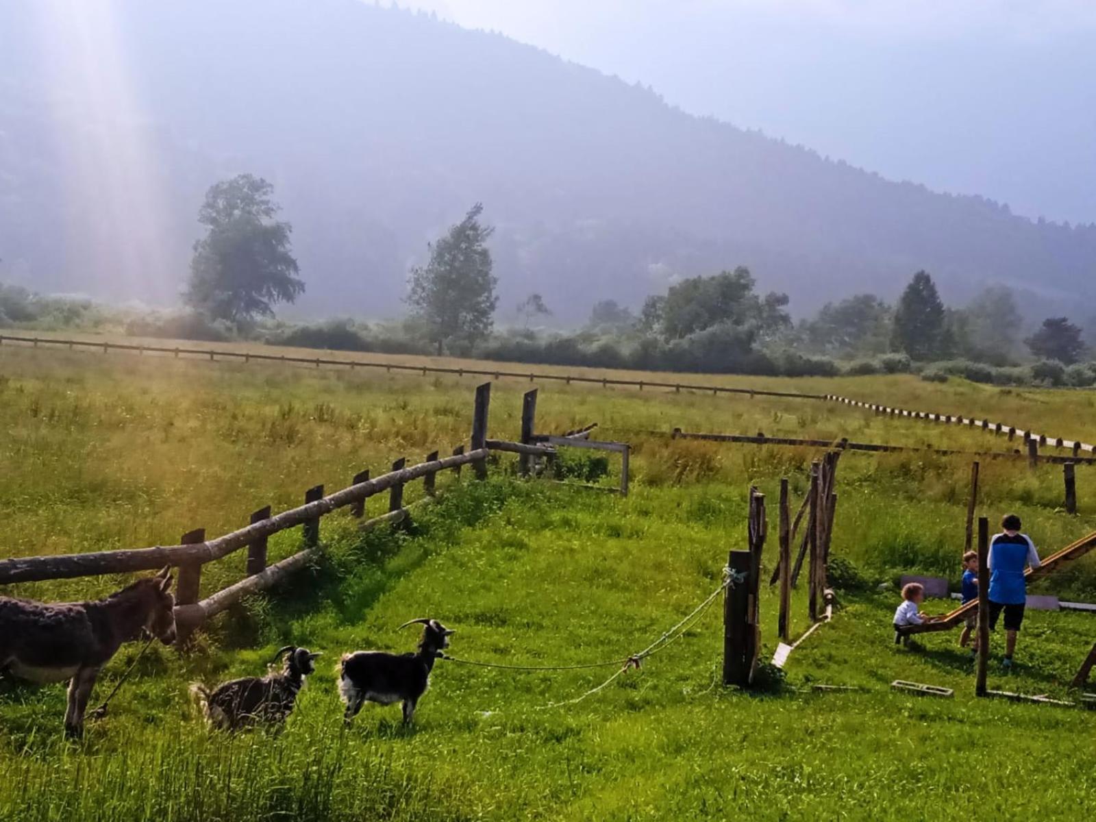 Maso Torbiera- Rural And Mountain Lodging Fiavè 外观 照片