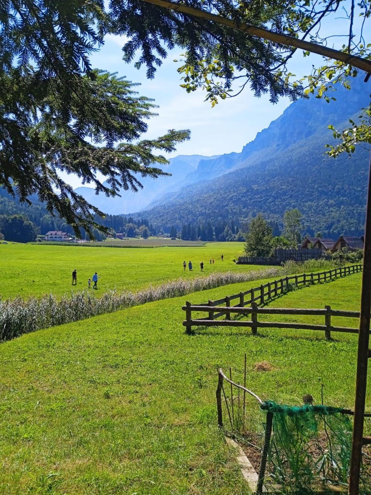 Maso Torbiera- Rural And Mountain Lodging Fiavè 外观 照片
