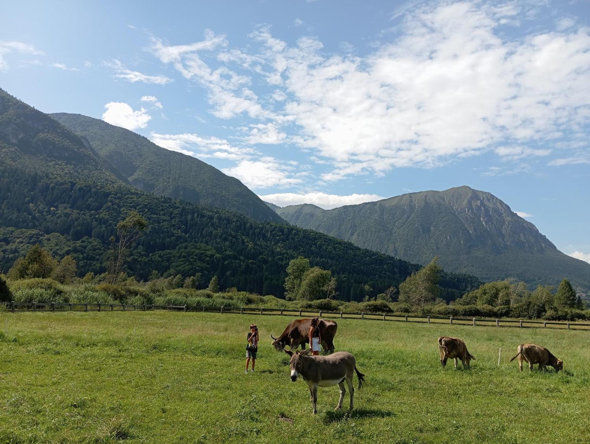 Maso Torbiera- Rural And Mountain Lodging Fiavè 外观 照片